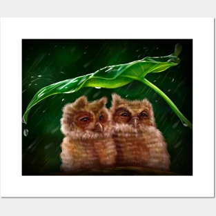 Owlets Posters and Art